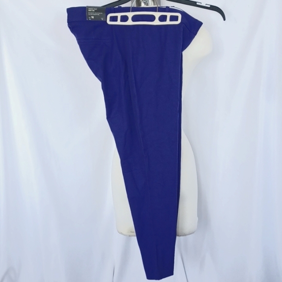 J. Crew Winnie Ankle Pant, Side zip, Purple/blue, Sz 10, 9" Rise, 25" Inseam - Picture 1 of 6